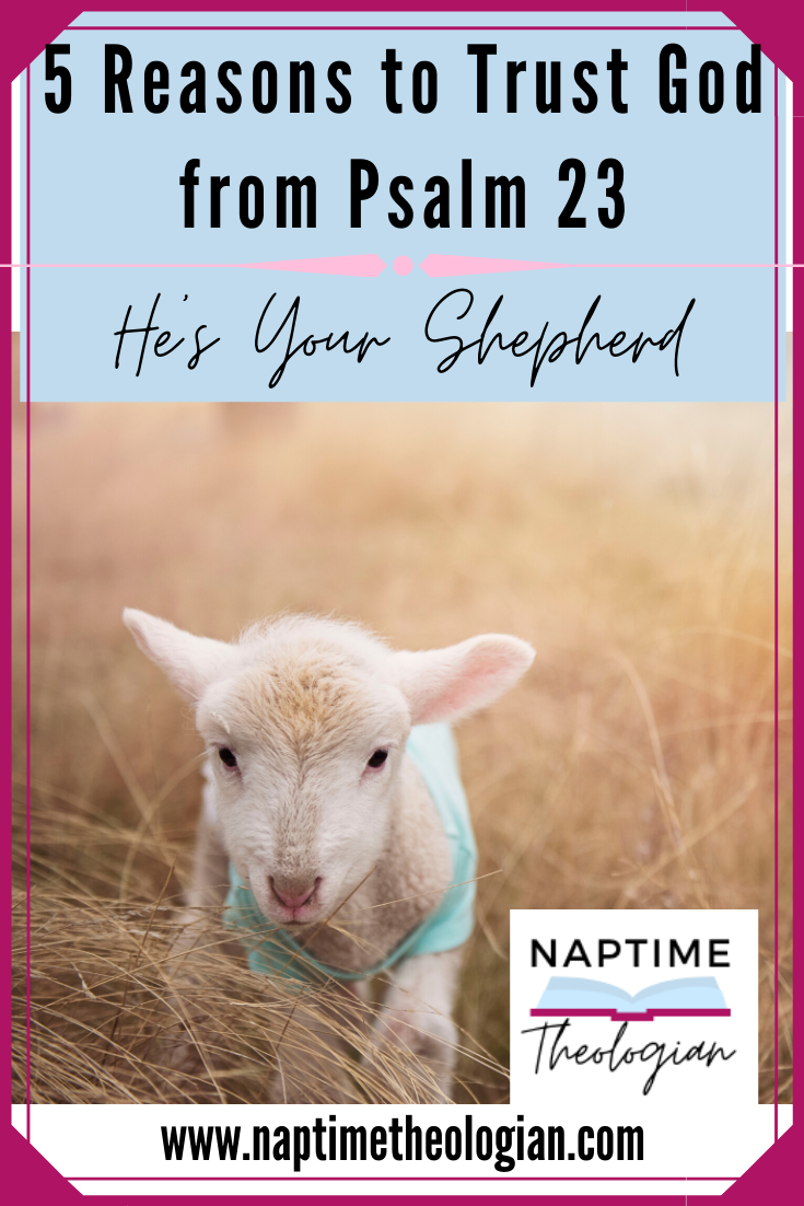 5 Reasons to Trust God from Psalm 23