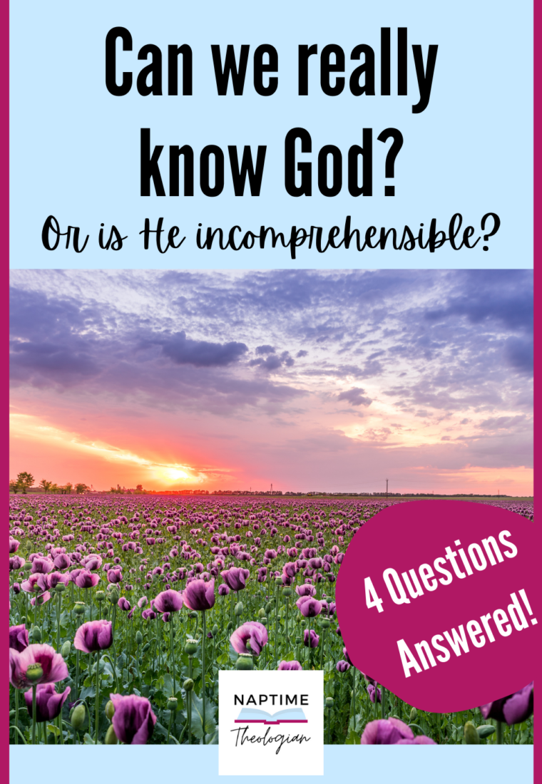 Can We Really Know God? | Incomprehensibility