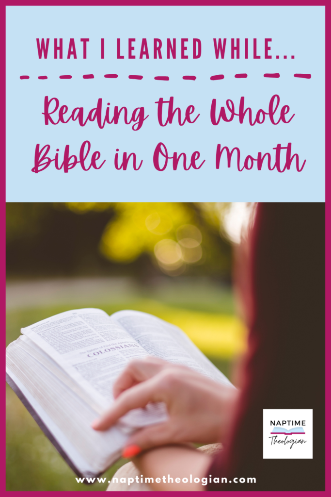 Reading The Whole Bible In a Month | Naptime Theologian